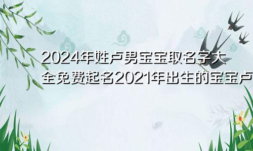 2024年姓卢男宝宝取名字大全免费起名2021年出生的宝宝卢姓取名