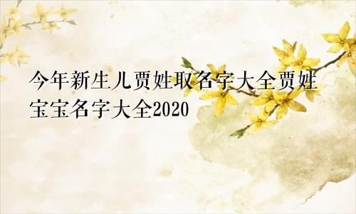 今年新生儿贾姓取名字大全贾姓宝宝名字大全2020