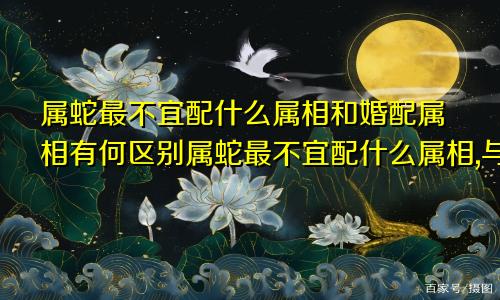 属蛇最不宜配什么属相和婚配属相有何区别属蛇最不宜配什么属相,与属蛇人不配的生肖