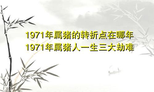 1971年属猪的转折点在哪年1971年属猪人一生三大劫难