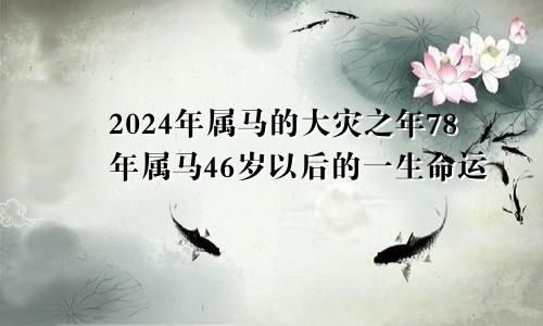 2024年属马的大灾之年78年属马46岁以后的一生命运