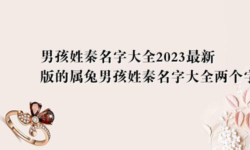 男孩姓秦名字大全2023最新版的属兔男孩姓秦名字大全两个字