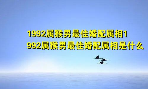 1992属猴男最佳婚配属相1992属猴男最佳婚配属相是什么