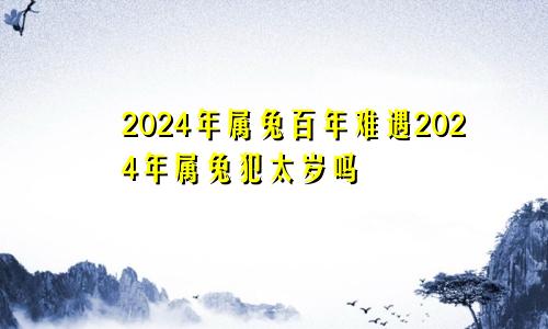 2024年属兔百年难遇2024年属兔犯太岁吗