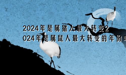 2024年是属猪人最大转变2024年是属鼠人最大转变的年份吗