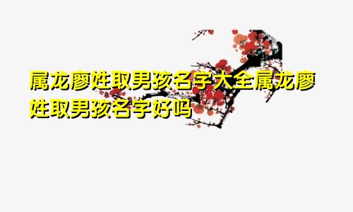 属龙廖姓取男孩名字大全属龙廖姓取男孩名字好吗