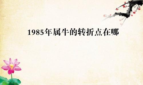 1985年属牛的转折点在哪