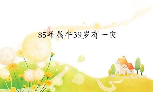 85年属牛39岁有一灾