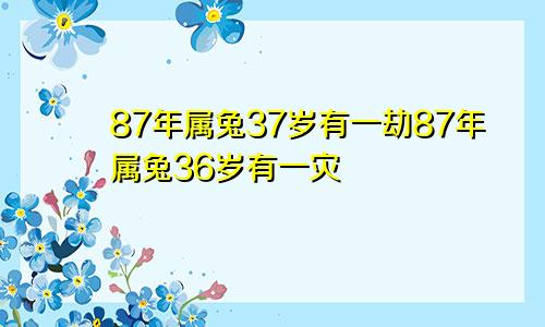 87年属兔37岁有一劫87年属兔36岁有一灾