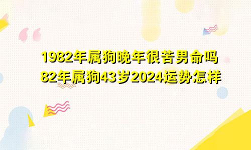 1982年属狗晚年很苦男命吗82年属狗43岁2024运势怎样