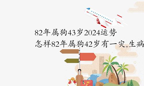 82年属狗43岁2024运势怎样82年属狗42岁有一灾,生病了怎么办