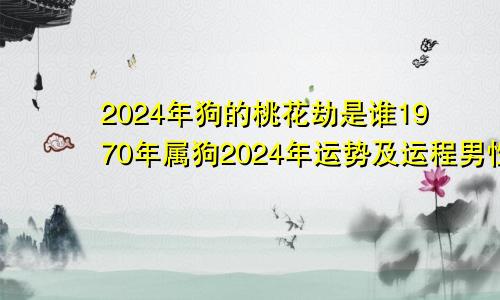 2024年狗的桃花劫是谁1970年属狗2024年运势及运程男性