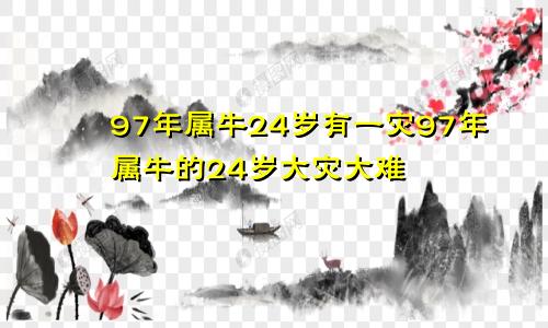 97年属牛24岁有一灾97年属牛的24岁大灾大难