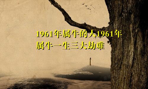 1961年属牛的人1961年属牛一生三大劫难