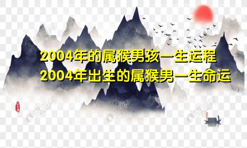 2004年的属猴男孩一生运程2004年出生的属猴男一生命运