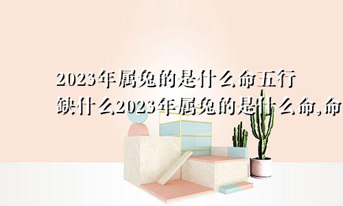 2023年属兔的是什么命五行缺什么2023年属兔的是什么命,命好吗