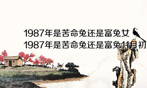 1987年是苦命兔还是富兔女1987年是苦命兔还是富兔11月初六出生