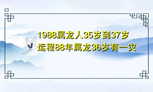 1988属龙人35岁到37岁运程88年属龙36岁有一灾