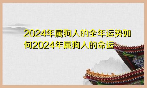 2024年属狗人的全年运势如何2024年属狗人的命运