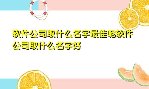 软件公司取什么名字最佳呢软件公司取什么名字好