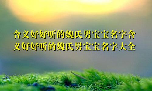 含义好好听的魏氏男宝宝名字含义好好听的魏氏男宝宝名字大全