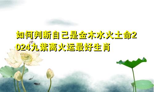 如何判断自己是金木水火土命2024九紫离火运最好生肖