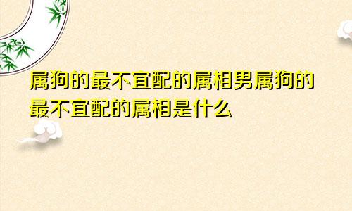 属狗的最不宜配的属相男属狗的最不宜配的属相是什么