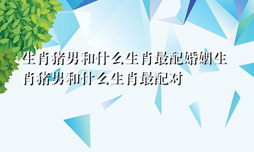 生肖猪男和什么生肖最配婚姻生肖猪男和什么生肖最配对