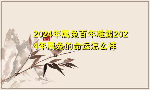 2024年属兔百年难遇2024年属兔的命运怎么样