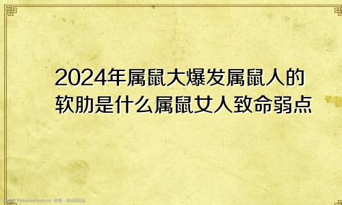 2024年属鼠大爆发属鼠人的软肋是什么属鼠女人致命弱点