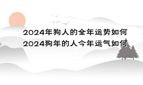 2024年狗人的全年运势如何2024狗年的人今年运气如何