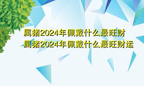 属猪2024年佩戴什么最旺财属猪2024年佩戴什么最旺财运