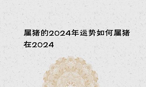 属猪的2024年运势如何属猪在2024