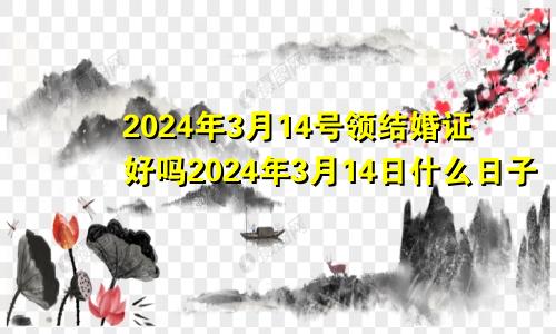 2024年3月14号领结婚证好吗2024年3月14日什么日子