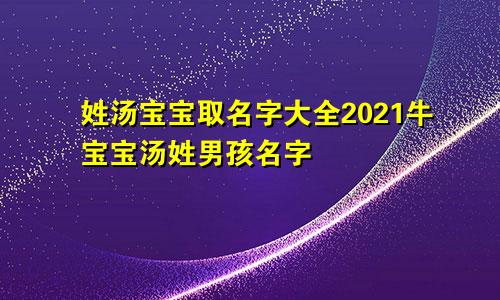 姓汤宝宝取名字大全2021牛宝宝汤姓男孩名字