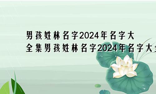 男孩姓林名字2024年名字大全集男孩姓林名字2024年名字大全四个字