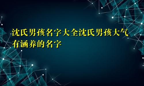 沈氏男孩名字大全沈氏男孩大气有涵养的名字