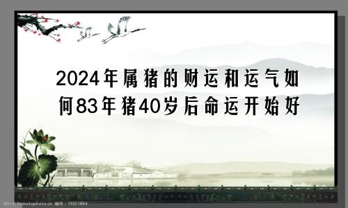 2024年属猪的财运和运气如何83年猪40岁后命运开始好