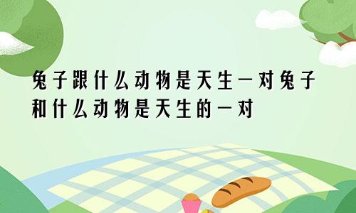 兔子跟什么动物是天生一对兔子和什么动物是天生的一对