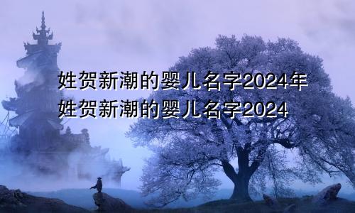 姓贺新潮的婴儿名字2024年姓贺新潮的婴儿名字2024