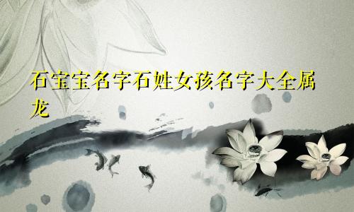 石宝宝名字石姓女孩名字大全属龙