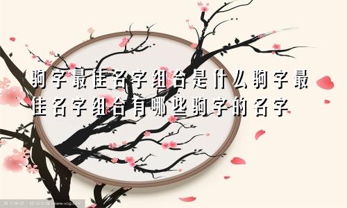 驹字最佳名字组合是什么驹字最佳名字组合有哪些驹字的名字