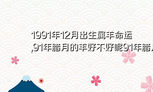 1991年12月出生属羊命运,91年腊月的羊好不好呢91年腊月出生的羊命运如何