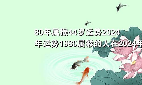 80年属猴44岁运势2024年运势1980属猴的人在2024年怎么样