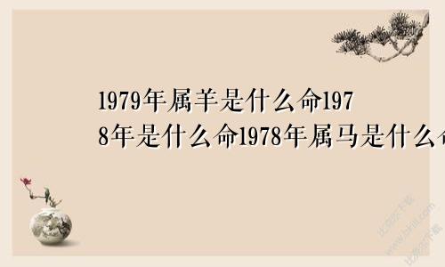 1979年属羊是什么命1978年是什么命1978年属马是什么命缺什么