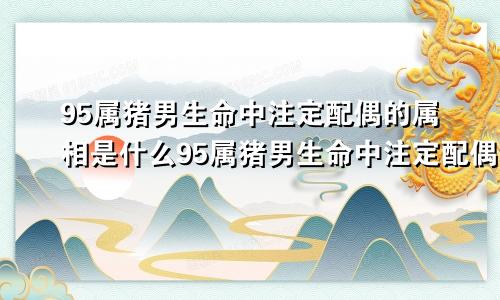 95属猪男生命中注定配偶的属相是什么95属猪男生命中注定配偶的属相是