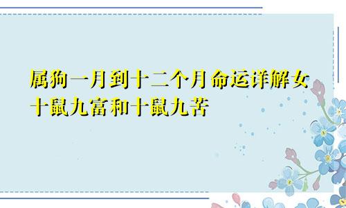 属狗一月到十二个月命运详解女十鼠九富和十鼠九苦