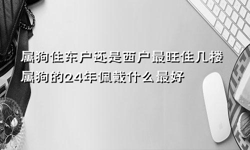 属狗住东户还是西户最旺住几楼属狗的24年佩戴什么最好