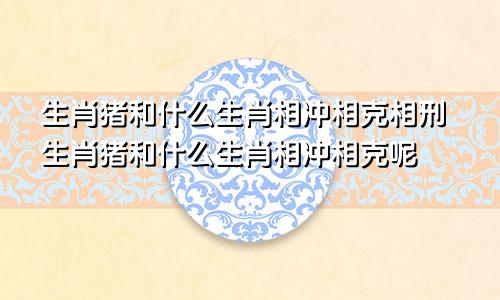 生肖猪和什么生肖相冲相克相刑生肖猪和什么生肖相冲相克呢