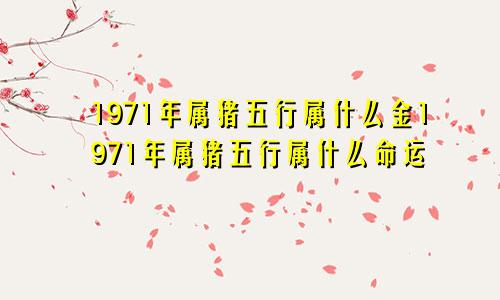 1971年属猪五行属什么金1971年属猪五行属什么命运